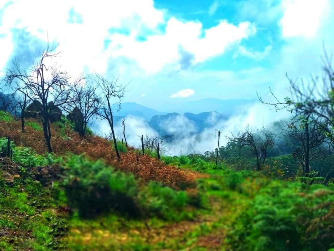 The Place ...The Experience Kodaikanal Ngoại thất bức ảnh